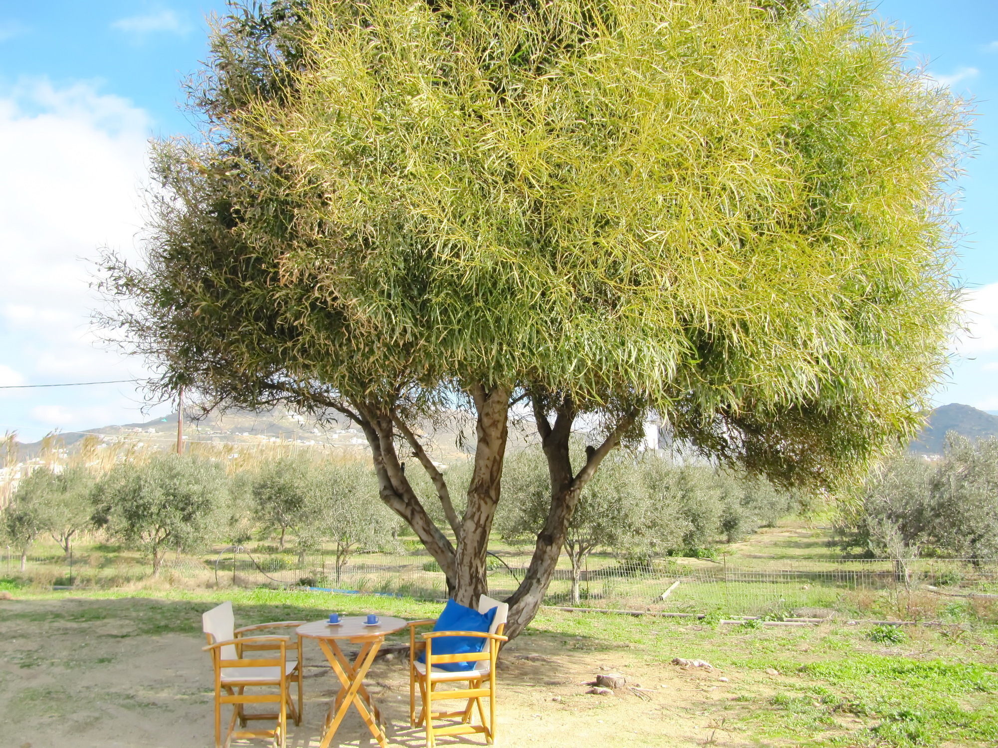 Naxos City Ktima Bianco 아파트 호텔 외부 사진